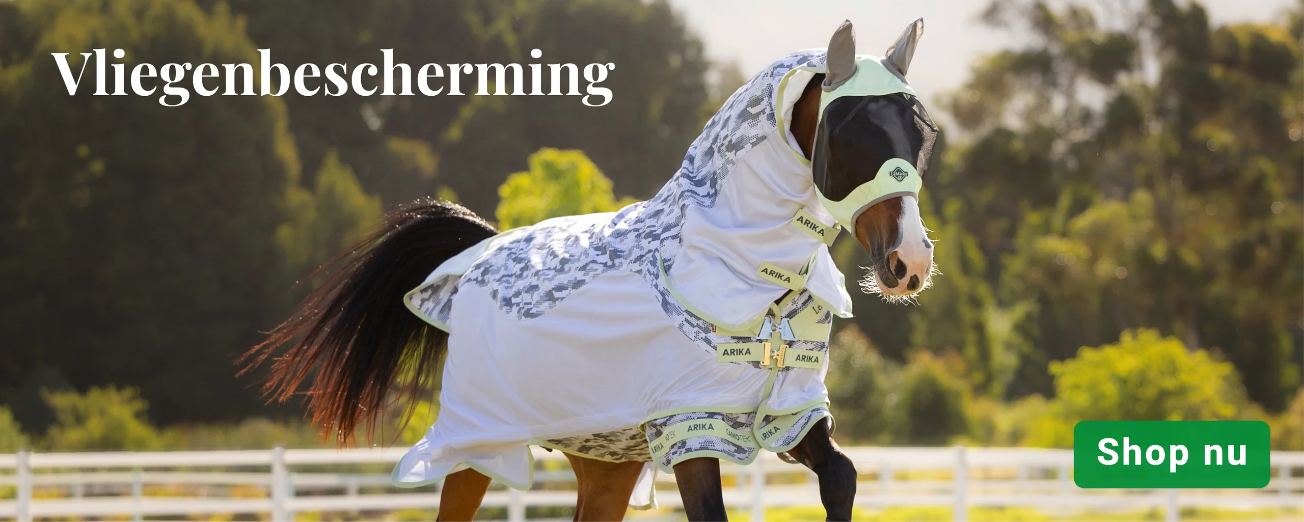 Welcome to Our Store